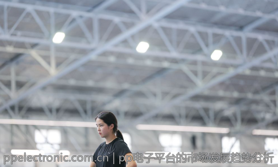 pp电子平台的市场发展趋势分析