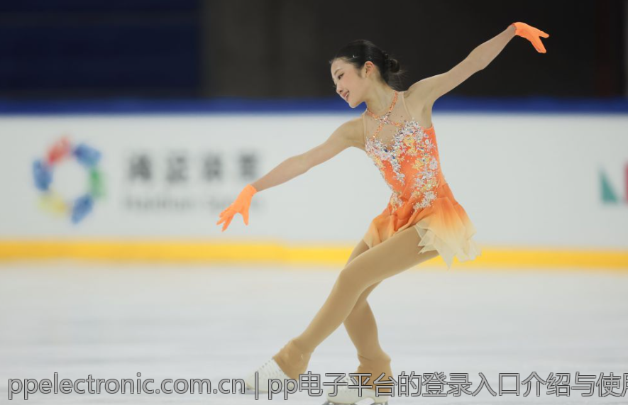 pp电子平台的登录入口介绍与使用