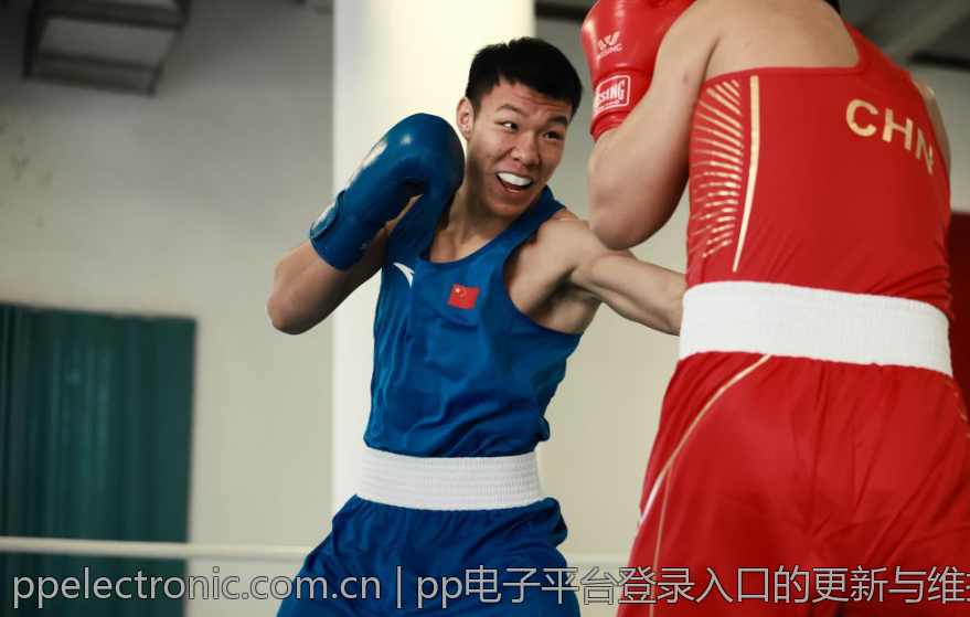 pp电子平台登录入口的更新与维护